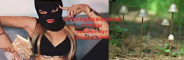 прущая мука Арсеньев