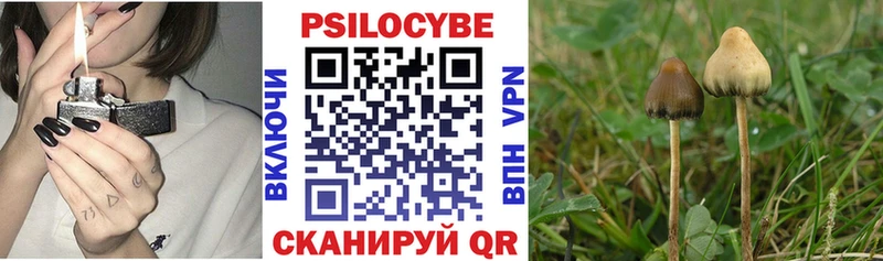 купить закладку Островной Галлюциногенные грибы Magic Shrooms